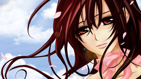 Обои на рабочий стол Юки Кросс / Yuuki Cross из аниме Рыцарь Вампир / Vampire Knight