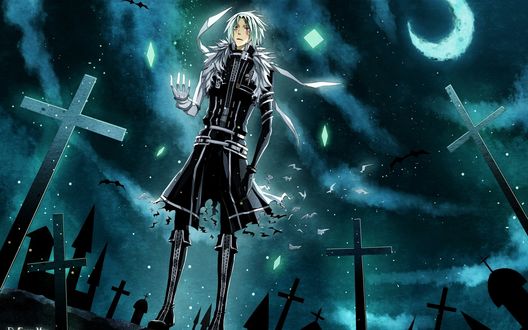 Обои на рабочий стол Walker Allen / Аллен Уолкер из аниме Ди Грэй-мен / D. Gray-man стоит на кладбище ночью