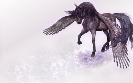 Обои на рабочий стол Черный пегас идет по поверхности воды