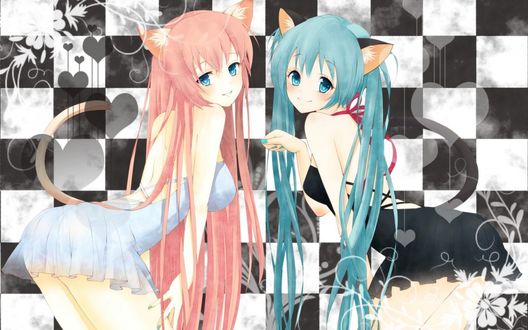 Обои на рабочий стол Vocaloids Hatsune Miku / Вокалоиды Хатсуне Мику и Megurine Luka / Мегурине Лука в образе неко