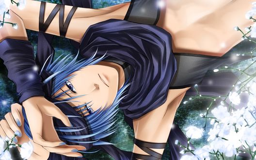 Обои на рабочий стол Vocaloid Shion Kaito / Вокалоид Шион Кайто лежит на траве среди цветов