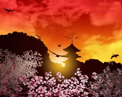Обои на рабочий стол Восходящее утреннее солнце осветило своими яркими лучами пагоду (буддийский храм) стоящий в окружении деревьев, на переднем плане ветка цветущей весной сакуры, летящие в небе птицы
