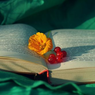 Обои на рабочий стол На раскрытой книге лежат желтый цветок и ягоды красной смородины