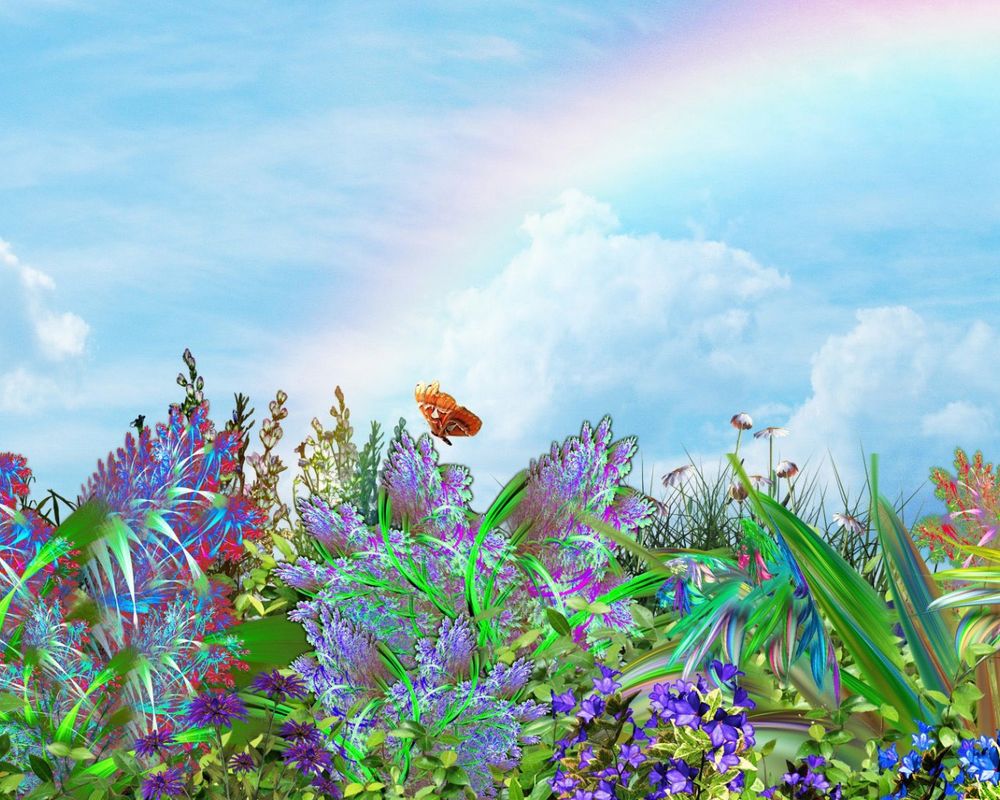 Обои для рабочего стола Бабочка летает над травой и цветами на фоне радуги в небе