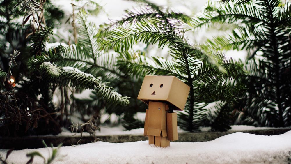 Обои для рабочего стола Коробочка Danbo / Данбо стоит на снегу на фоне зимних веток елки