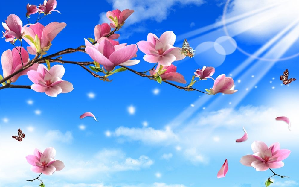 Обои для рабочего стола Цветущая весной вишневая ветка на фоне голубого неба с яркими лучами полуденного солнца, порхающими бабочками и опадающих лепестков цветов