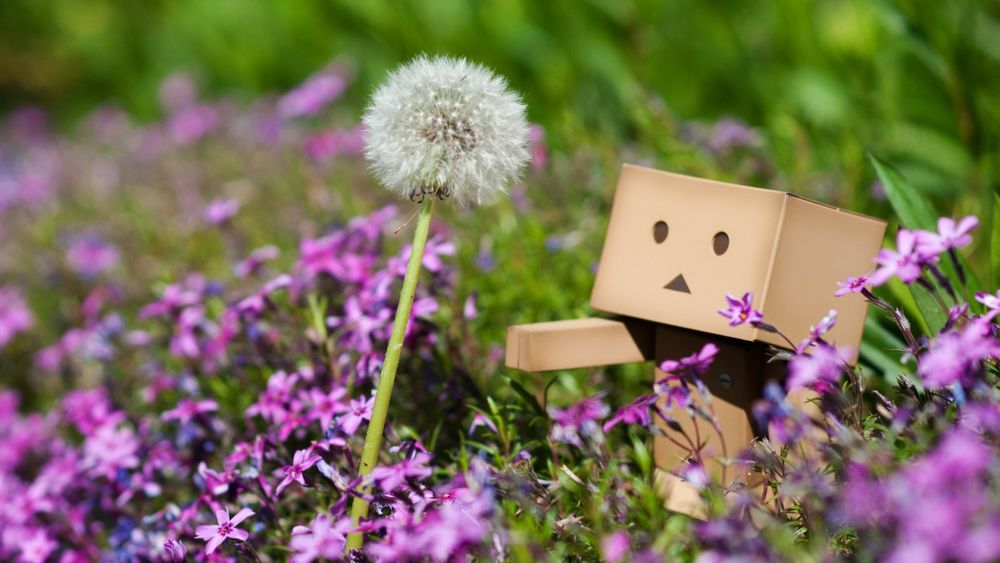 Обои для рабочего стола Коробочный человечек Данбо / Danbo тянется к одуванчику среди множества цветов