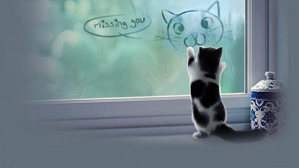 Обои для рабочего стола Пушистый черно-белый котенок, стоящий на задних лапах, разглядывает рисунок кошачьей мордочки на оконном стекле, рядом стоит красивая фарфоровая ваза (Missing gou / Отсутствующий