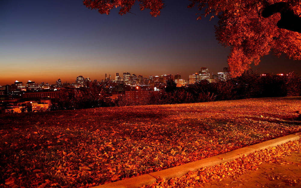 Обои для рабочего стола Вид на огни ночного города с площадки усыпанной осенней листвой