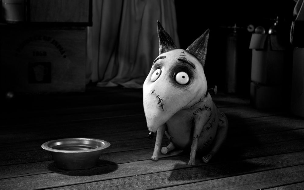 Обои для рабочего стола Франкенвини из мультфильма Франкенвини / Frankenweenie сидит перед миской