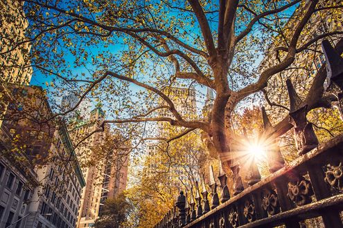 Обои на рабочий стол Город New-York, USA / Нью-Йорк, США в утренние часы