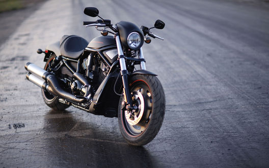 Обои на рабочий стол Мотоцикл Harley-davidson V-Rod / Харлей-Дэвидсон В-Род, стоящий на сером асфальте