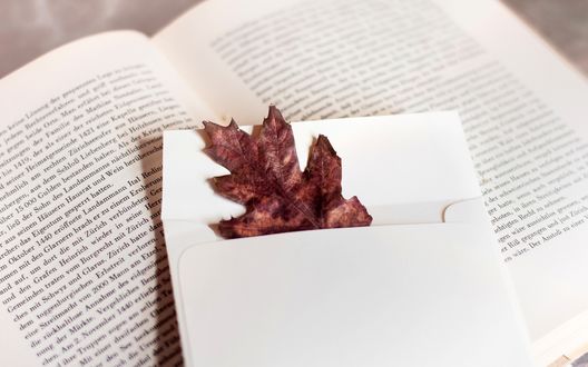 Обои на рабочий стол Белый конверт с осенним листом лежащий на раскрытой книге