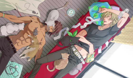 Обои на рабочий стол Barnaby Brooks jr / Барнаби Брукс-младший и Kaburagi Kotetsu из аниме Tiger & Bunny / Тигр и Кролик спят в окружение кошек