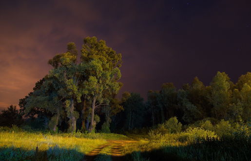 Обои на рабочий стол Грунтовая дорога, проходящая по опушке леса и уходящая в глубь лесной рощи, освещены яркими солнечными лучами заходящего вечернего солнца на фоне потемневшего неба с высыпавшими звездами. фотография Сергея Шляга