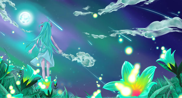Обои на рабочий стол Vocaloid Hatsune Miku / Вокалоид Хатсуне Мику стоит среди цветов, смотря на ночное небо и падающие звезды