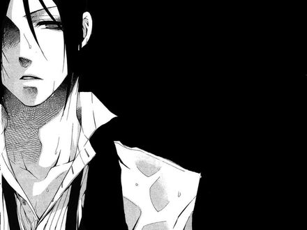 Обои на рабочий стол Sebastian Michaelis / Себастьян Михаэлис из аниме Темный дворецкий / Dark Butler / Kuro Shitsuji