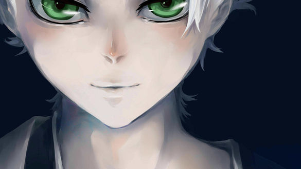 Обои на рабочий стол Hitsugaya Toushirou / Хитсугая Тоширо из аниме Bleach / Блич