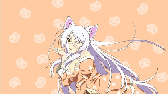 Обои на рабочий стол Цубаса Ханэкава / Tsubasa Hanekawa из аниме История кошки / Nekomonogatari