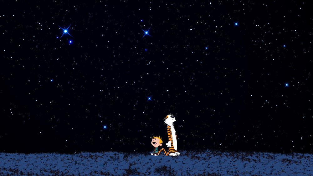 Обои для рабочего стола Тигр и мальчик, любуются звездным небом, стоя в траве