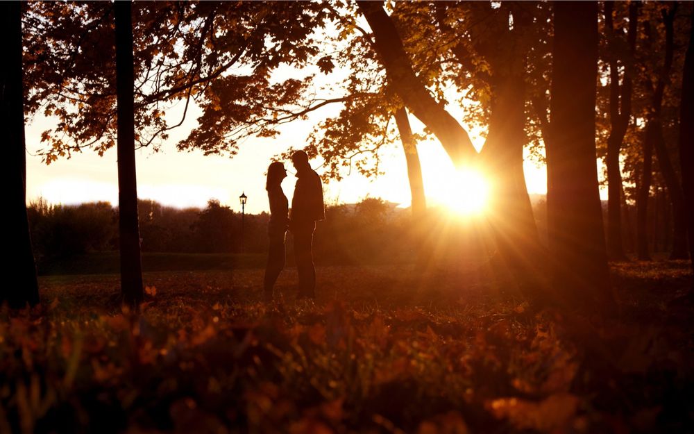 Обои для рабочего стола Влюбленная пара держится за руки в осеннем парке, залитым солнечным светом