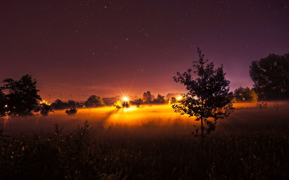 Обои для рабочего стола Деревья в тумане на фоне ночного звездного неба