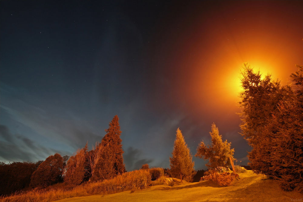 Обои для рабочего стола Необычное яркое солнечное свечение ночью, осветившее своими лучами зимнюю поляну с густыми еловыми деревьями, фотография Yuri Ovchinnikov