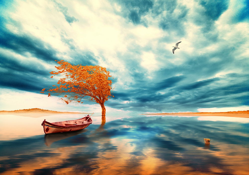 Обои для рабочего стола Деревянная лодка, стоящая на берегу озера и привязанная металлической цепью к дереву с желтыми, осенними листьями на фоне пасмурного неба и парящей в нем чайкой, фотография Garas lonut