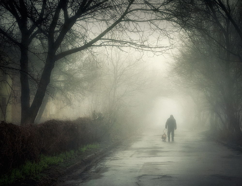 Обои для рабочего стола Мужчина, выгуливающий собаку по аллеи парка, покрытой влагой после прошедшего дождя на фоне густого утреннего тумана, фотография Scorpio (Игорь Мелекесцев)