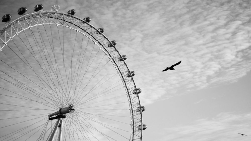 Обои для рабочего стола Птица на фоне неба и London Eye / Лондонского глаза - колеса обозрения, London / Лондон, Lambeth / Ламбет, Great Britain / Великобритания
