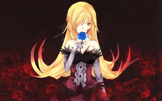 Обои на рабочий стол Oshino Shinobu / Синобу Осино из аниме Bakemonogatari / Истории монстров