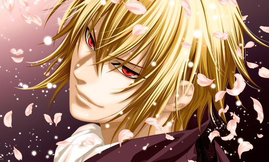 Обои на рабочий стол Шикаге Казама / Chikage Kazama из аниме Сказание о Демонах бледно-розовой сакуры / Hakuouki / Hakuoki Shinsengumi Kitan под падающими лепестками