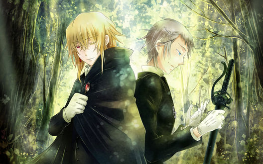 Обои на рабочий стол Эллиот Найтрей / Elliot Nightray и Винсент Найтрей / Vincent Nightray из аниме Pandora Hearts / Сердца пандоры