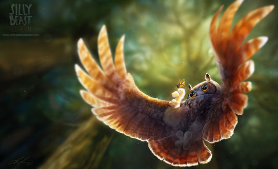 Обои на рабочий стол Сова замерла в полете, любуясь бабочкой, художник Silly Beast