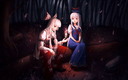 Обои на рабочий стол Кейне Камисирасава / Kamishirasawa Keine и Фудзивара но Моко / Fujiwara no Mokou из игры Проект Восток / Touhou Project