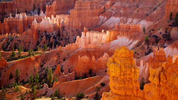 Обои на рабочий стол Национальный парк Брайс-Каньон / Bryce Canyon National Park, штат Юта, США / Utah, USA