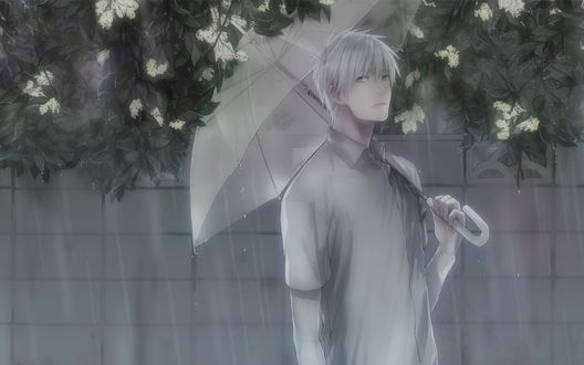 Обои на рабочий стол Куроко Тетсуя / Kuroko Tetsuya из аниме Баскетбол Куроко / Kuroko no Basuke