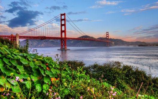 Обои на рабочий стол Висячий мост Золотые ворота / Golden Gate Briage, проложенный в городе Сан-Франциско, штат Калифорния, СЩА / San Francisco, California, USA