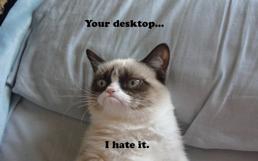 Обои на рабочий стол Грустный кот / Grumpy Cat лежит на кровати (Your desktop. I hate it. / Твой рабочий стол. ненавижу его.)
