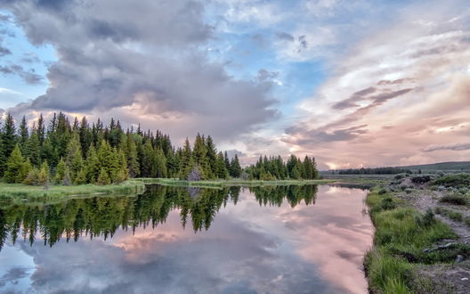 Обои на рабочий стол Деревья и облачное небо, отражающиеся в воде