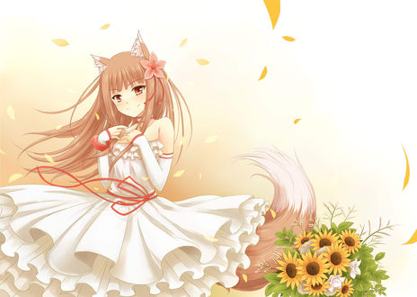 Обои на рабочий стол Horo / Хоро из аниме Spice and Wolf / Волчица и пряности