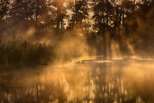 Рыбак сидя на берегу реки видит на гладкой поверхности воды изображение утреннего солнца