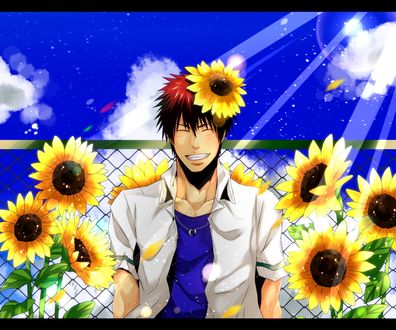 Обои на рабочий стол Тайга Кагами / Kagami Taiga из аниме Kuroko No Basket / Баскетбол Куроко улыбается, стоя рядом с железным забором, у которого растут подсолнухи