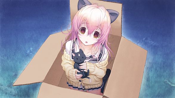 Обои на рабочий стол Mukou Aoi / Аой Муко из аниме Kimi to Kanojo to Kanojo no Koi с котенком на руках сидит в картонной коробке