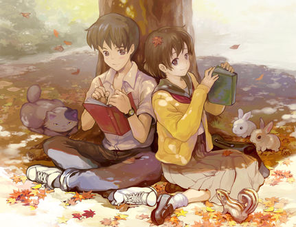 Обои на рабочий стол Amasawa Seiji / Амасава Сейджи и Tsukishima Shizuku / Тсукишима Шизуку из аниме Mimi wo Sumaseba / Шепот сердца