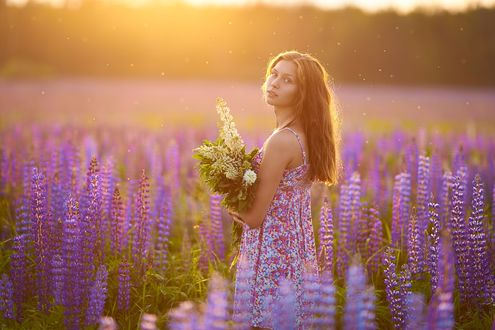Обои на рабочий стол Красивая длинноволосая девушка в цветном сарафане, держащая в руках охапку сорванных цветов с зелеными листьями, прогуливающаяся среди фиолетовых люпинов, фотография Александра Виноградова