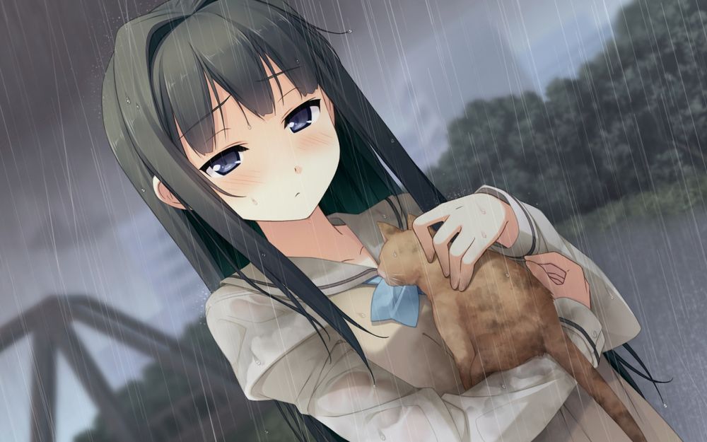 Обои для рабочего стола Темноволосая девушка стоит под дождем держа в руках кота