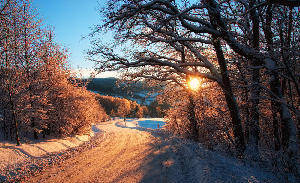 Обои для рабочего стола Дорога в снежном лесу, фотограф Janek Sedlar / Янек Седлар