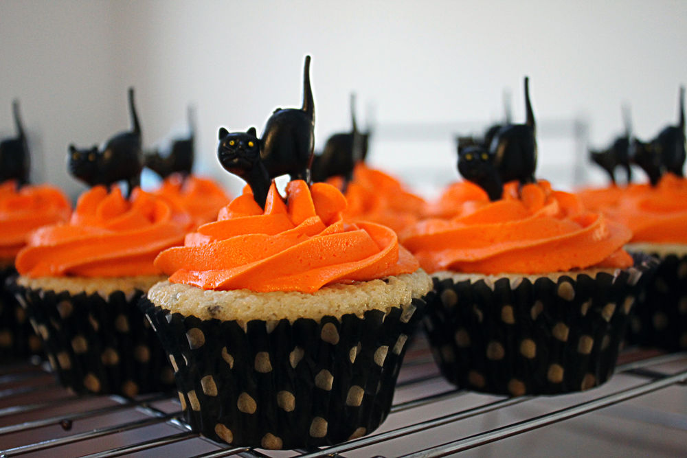 Обои для рабочего стола Пирожные с оранжевым кремом и черными кошками на Halloween / Хэллоуин
