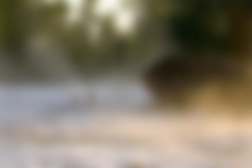 Обои для рабочего стола Две девушки, сидящие в реке возле каменистого берега, освещенного лучами восходящего утреннего солнца с поднимающимися от воды белыми клубами тумана, автор Николай Будин